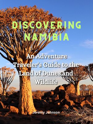 cover image of Discovering Namibia